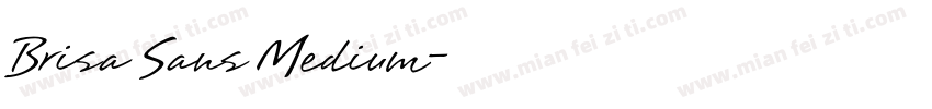 Brisa Sans Medium字体转换
